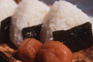 銀座で味わう本格九州料理！ビジネスシーンにも最適な隠れ家レストランの魅力