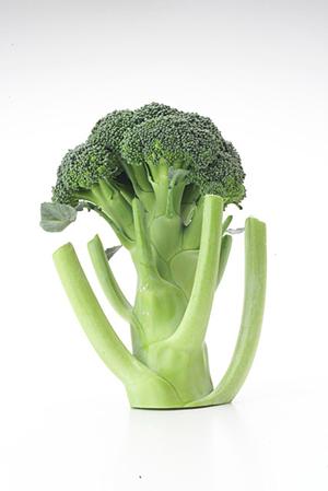 岡山木村屋グループの安心と品質を誇るOKF株式会社の製品とサービス