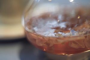 鹿児島発！オーガニック抹茶をふんだんに使った「茶屋しずく」難波店の絶品スイーツと抹茶ドリンク紹介