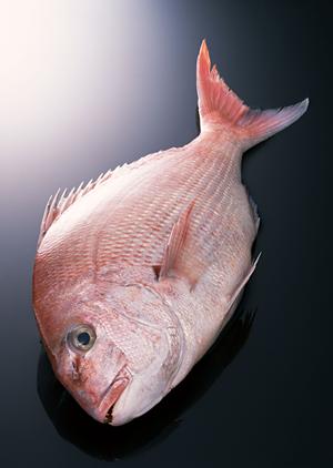 テラスレストラン – 中島屋グランドホテル