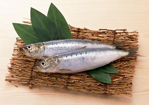 大切な人に贈る和菓子を多数そろえている