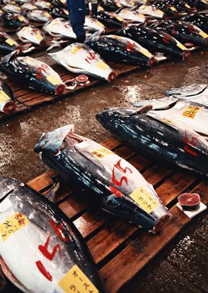 博多でランチを食べるのに適した店