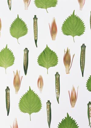 世界のビール博物館 東京スカイツリータウン・ソラマチ店の魅力と特徴