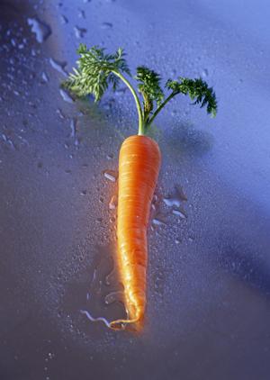 美味しいお米だけでなく漬物やカレーも