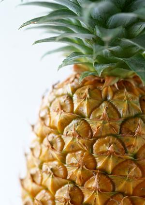 ウイスキー専門店を東京で見つける