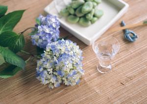 恵比寿にある東京シーシャの専門店はこちらがおすすめ