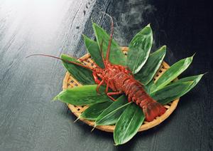 ひとりから大人数まで利用できるお店です