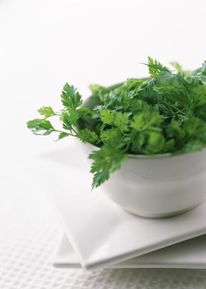 東京ドームで楽しむシェイクシャックの魅力