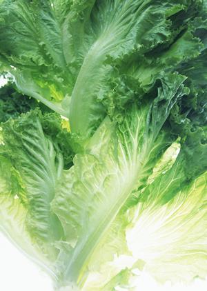 飲食店向け常温保存可能なシーズニングなら