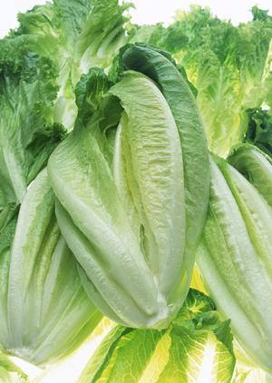 仕事帰りに恵比寿シーシャで癒しの時間を