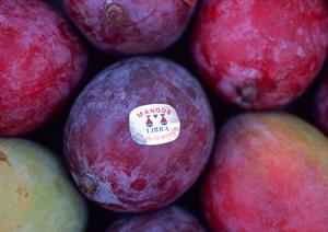 横浜港をめぐりながら料理が楽しめる屋形船