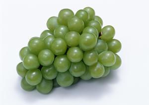 スシロー南池袋店さんでのバイトの概要