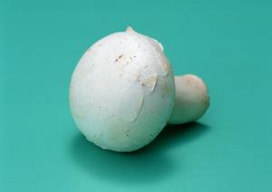 名古屋でちょっと一杯飲みたいなら