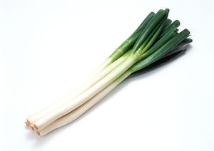 大阪のお好み焼き専門店「ぼてぢゅう」の魅力と店舗情報