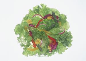 地域に愛されるお弁当の老舗、つるやの魅力と詳細情報