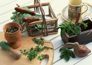 大阪・道頓堀の人気グルメスポット｜伝説のすた丼屋道頓堀店の魅力と店舗情報