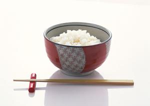 沖縄のおいしいマンゴーを購入できる